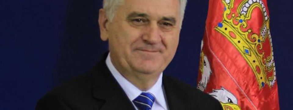 nikolic.jpg