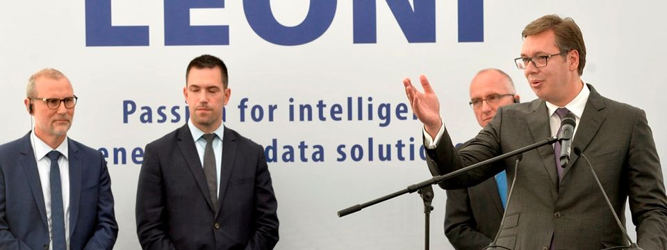 kraljevo_leoni_velika.jpg