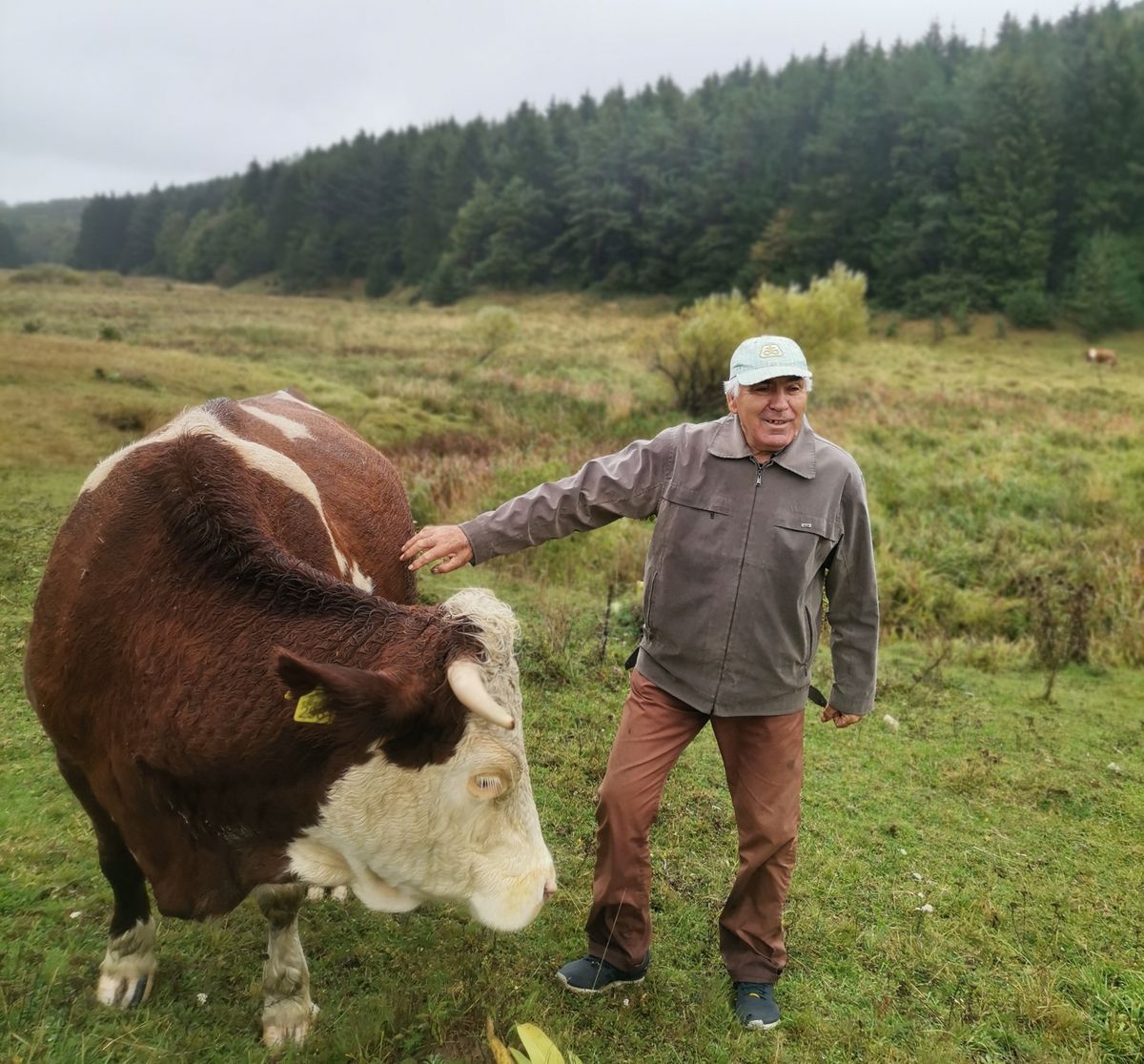 Rajska visoravan Velika Brezovica