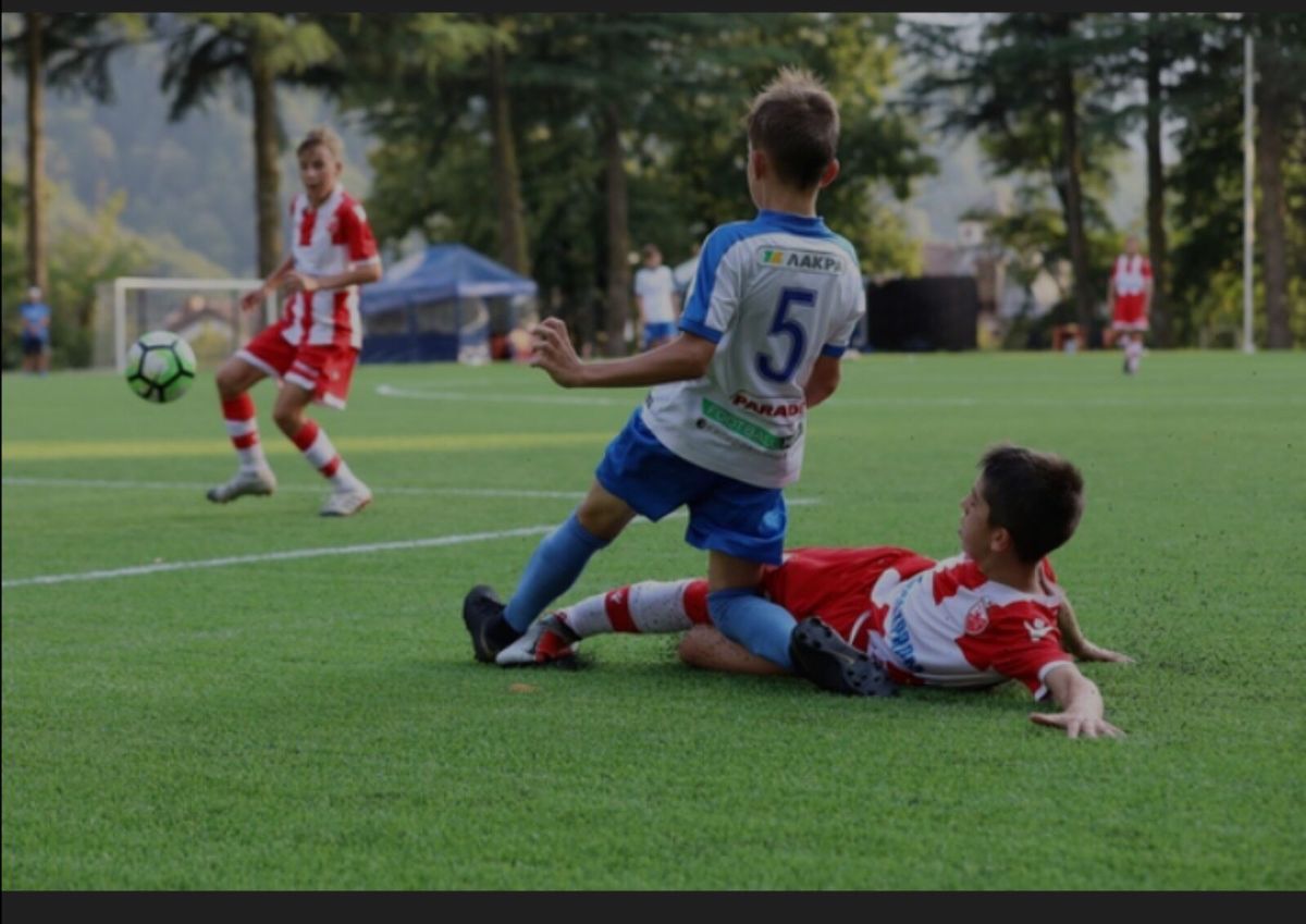 Fudbalski ponos Vladimiraca Fudbalski ponos Vladimiraca