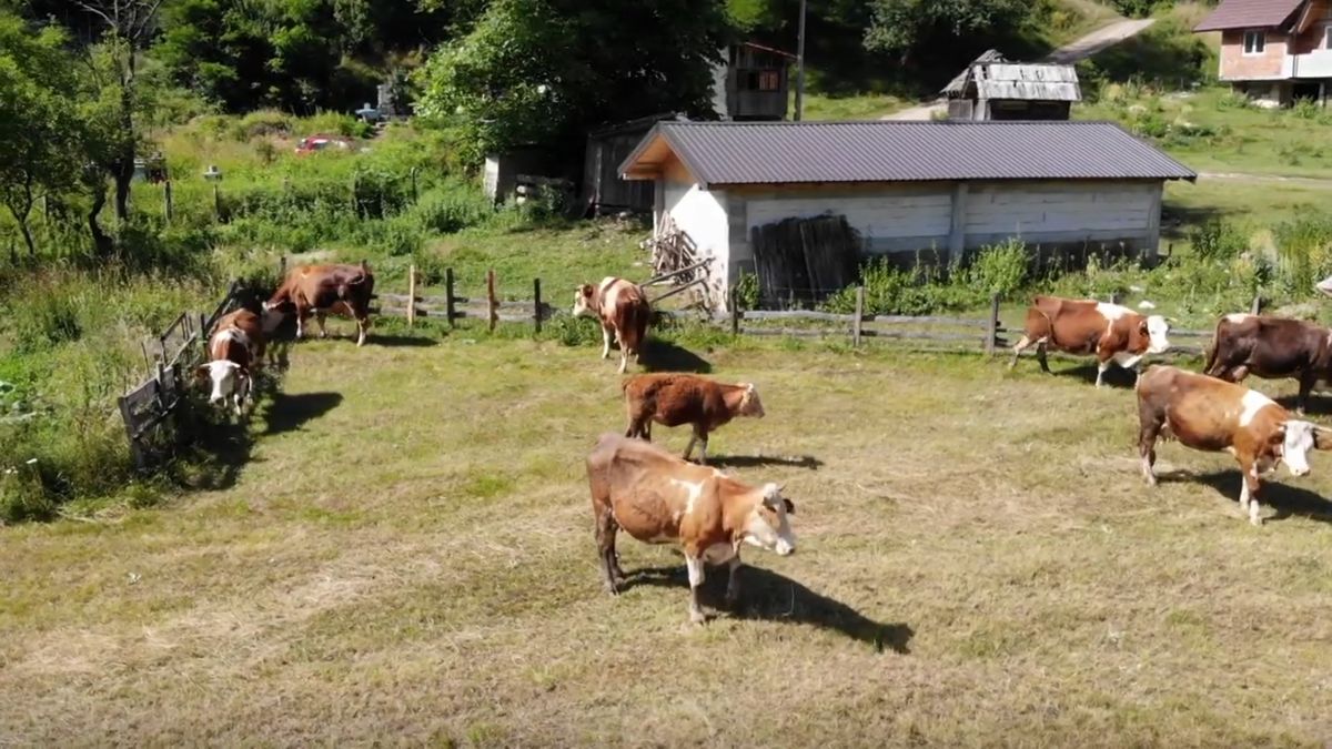 Uspešni, zadovoljni i svoji