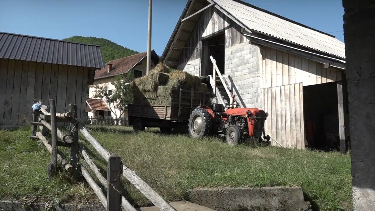 Успешни, задовољни и своји