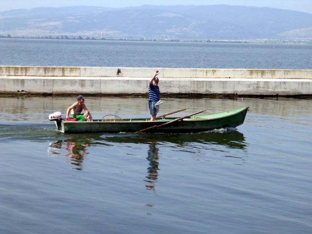 Dunav kod Golupca - ribarski raj