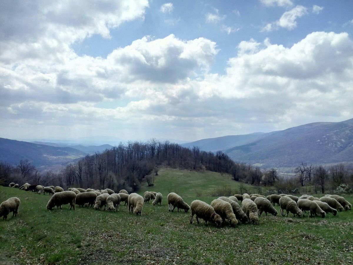 Мали рај у срцу природе