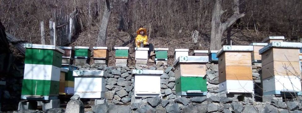 Ljubav prema pčelama koja traje generacijama