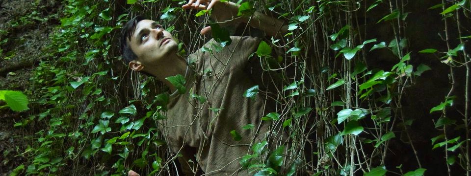 Прашумски вилењак – Стеван Гајић из Браничева