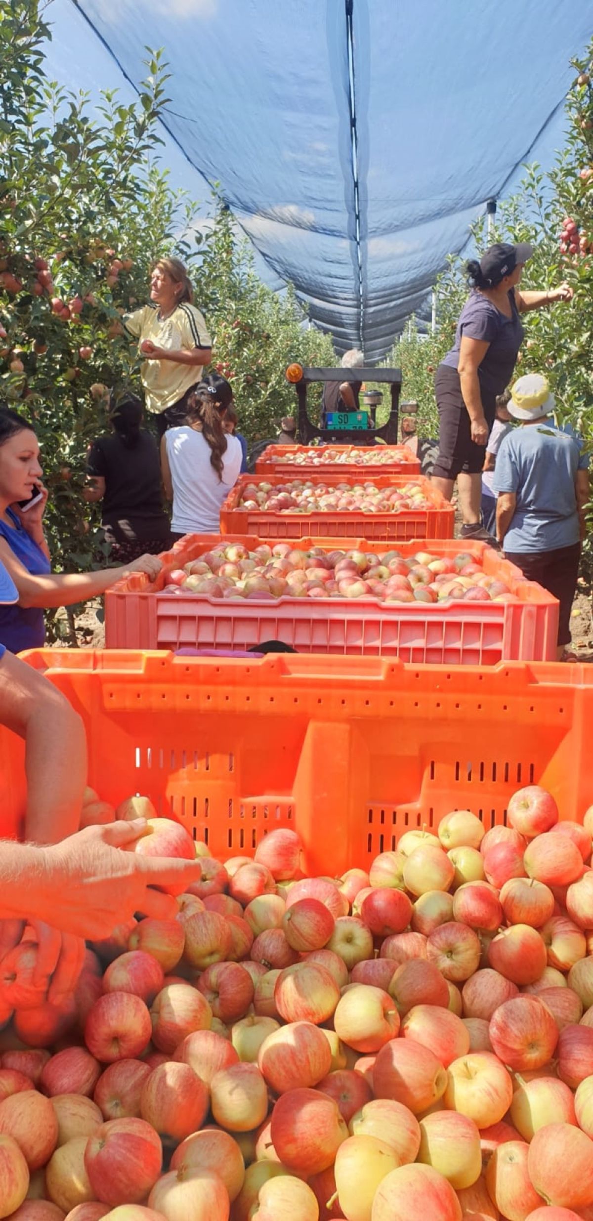 Uspešni nastavljači tradicije zadrugarstva