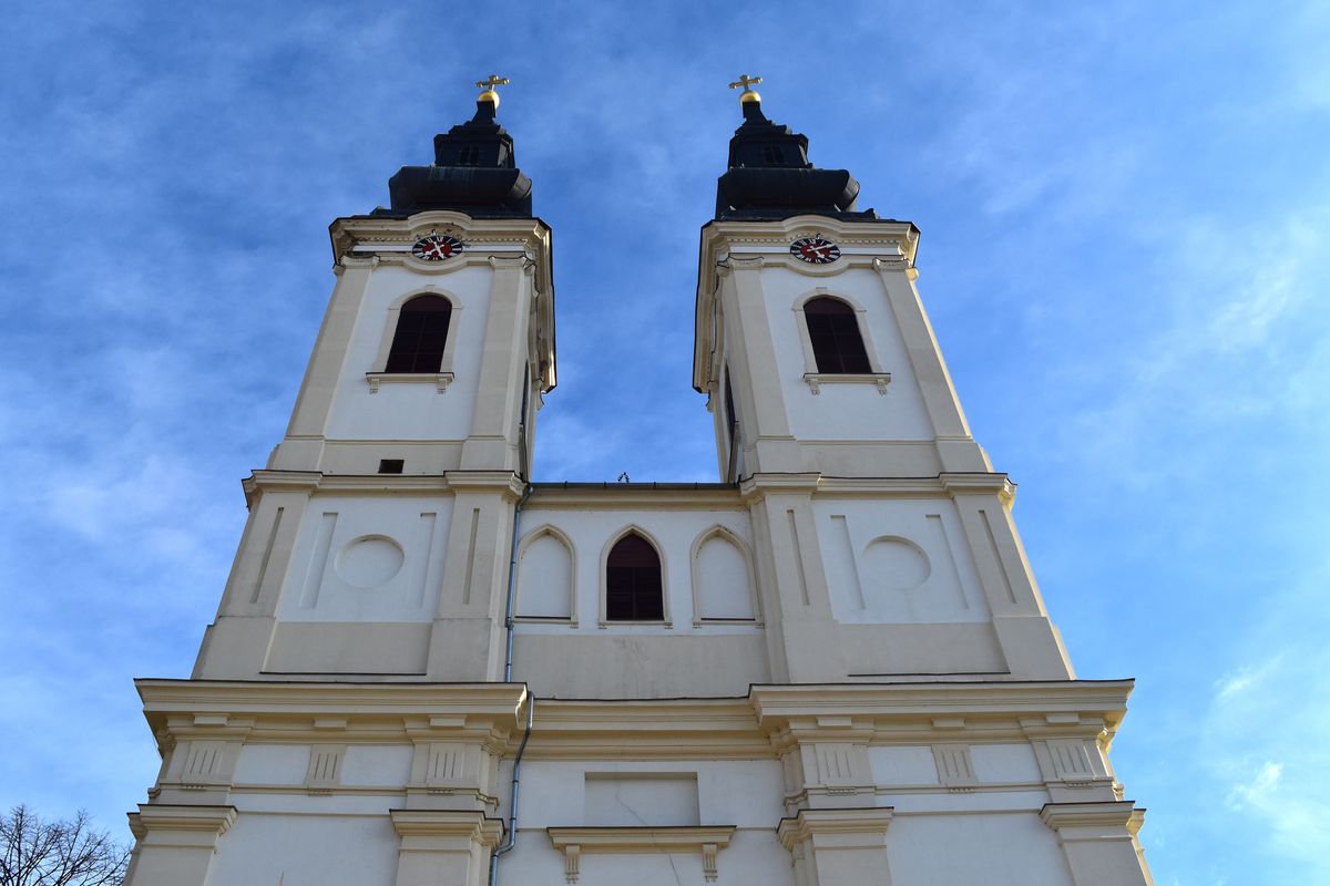 „Zvone zvona Srbobranska, sva se ori Bačka“