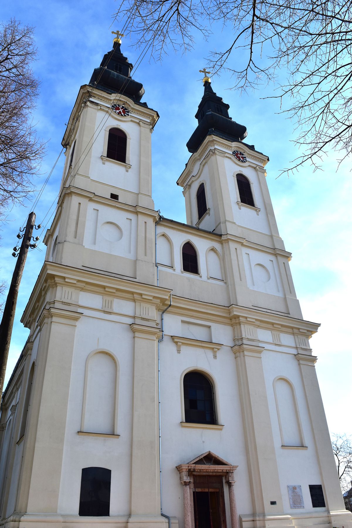 „Zvone zvona Srbobranska, sva se ori Bačka“