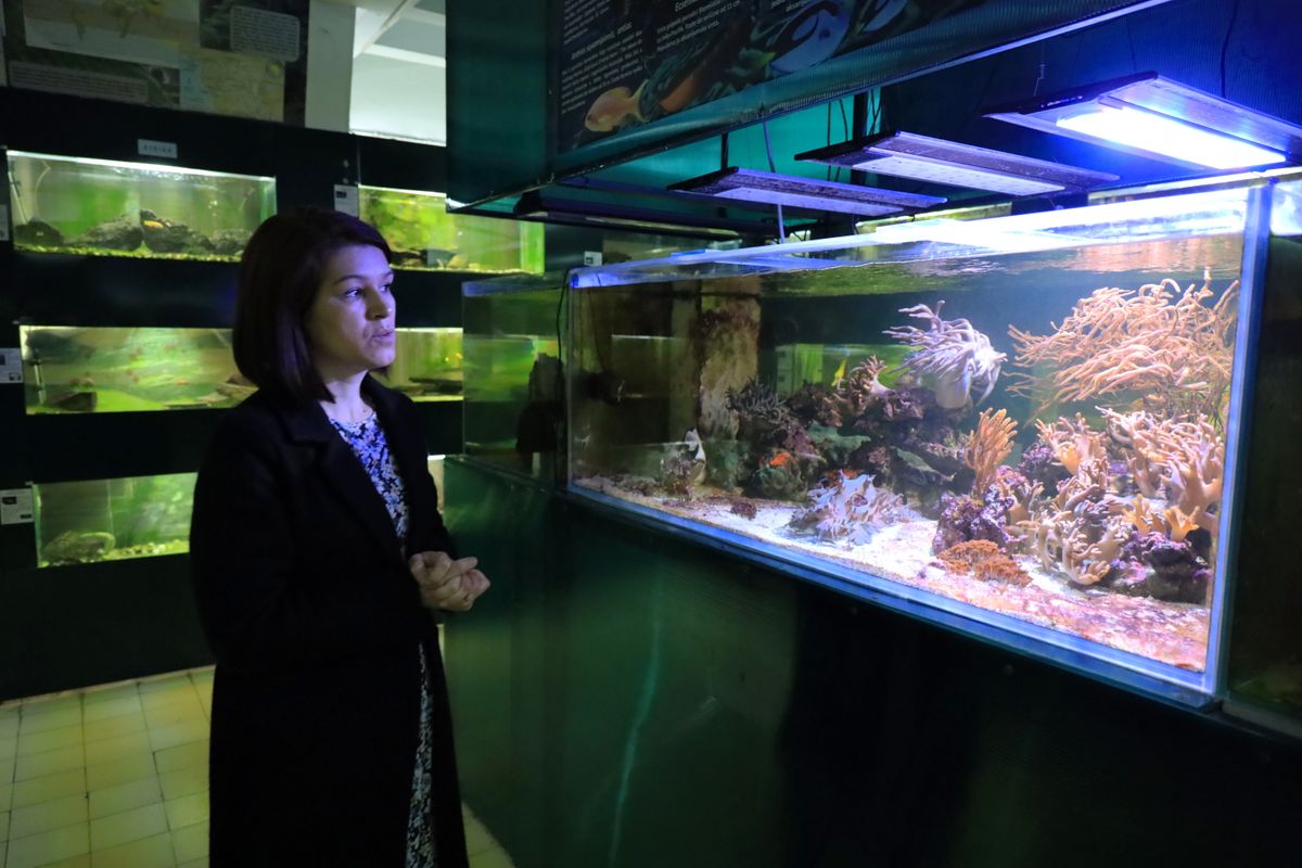 Крагујевачки акваријум – место за уживање и учење
