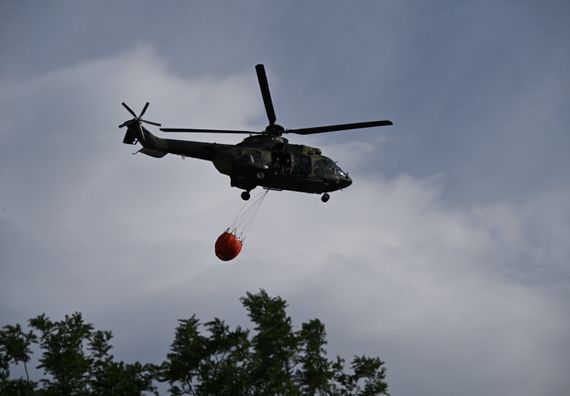 gol8468.jpg
