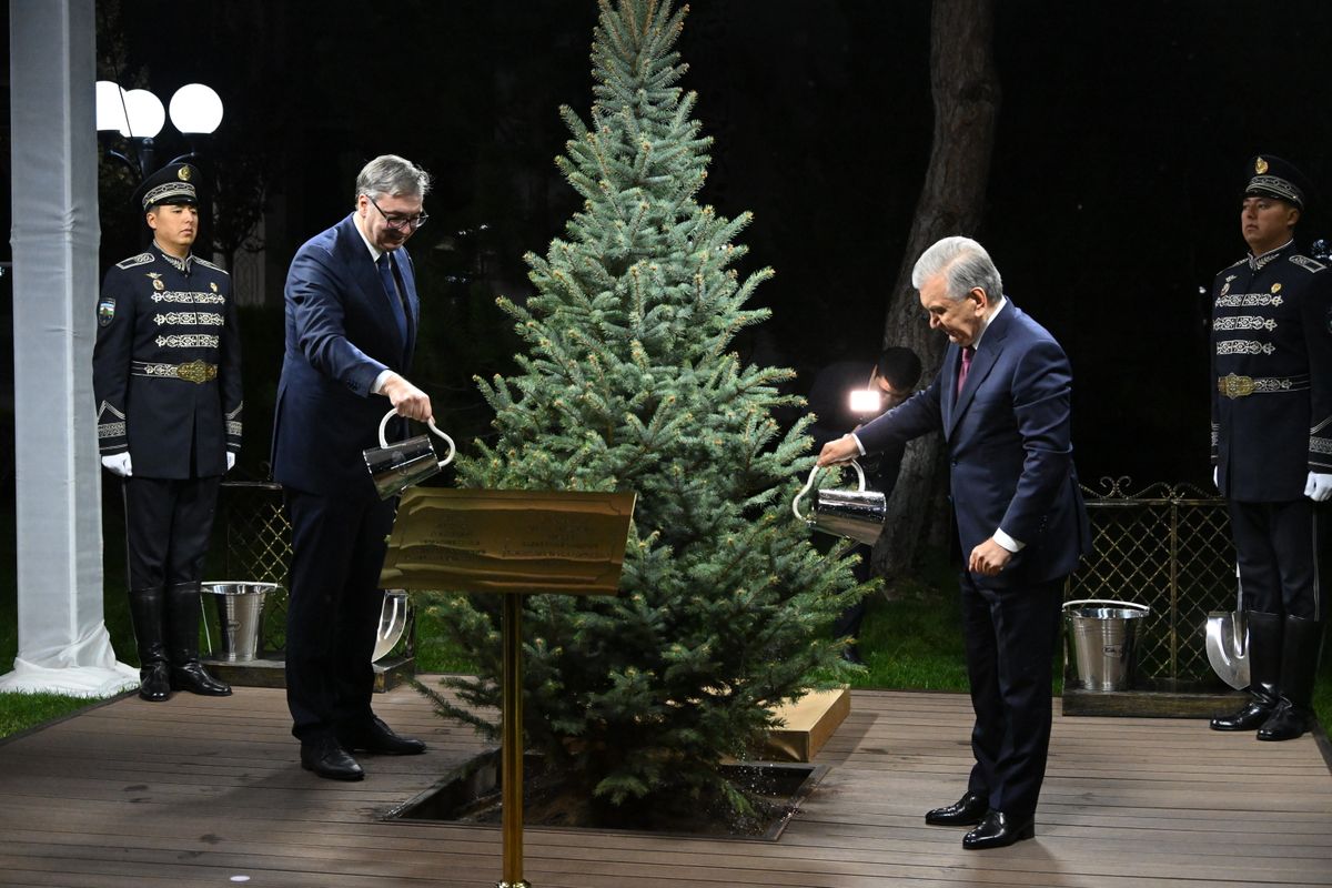 gol9741.jpg gol9741.jpg