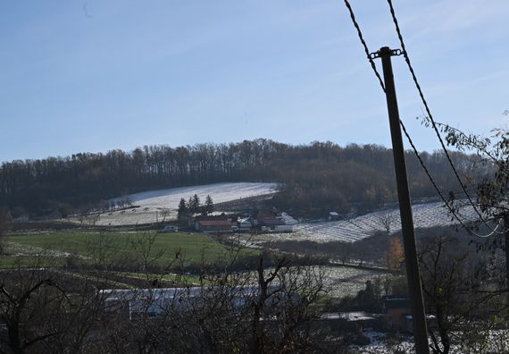 Посета породици Јанковић