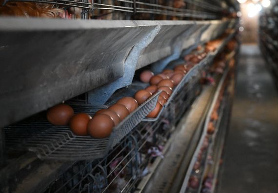 Посета породици Јанковић