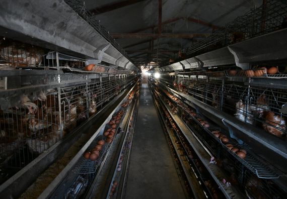 Посета породици Јанковић