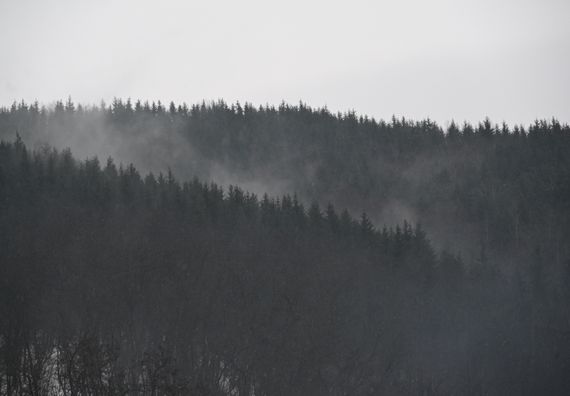Посета Зајечарском и Борском округу