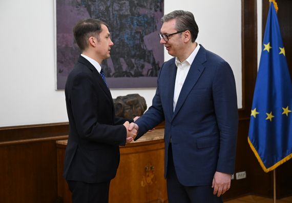 Konsultacije