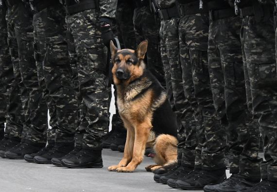 Vojna svečanost povodom Dana Odreda vojne policije 