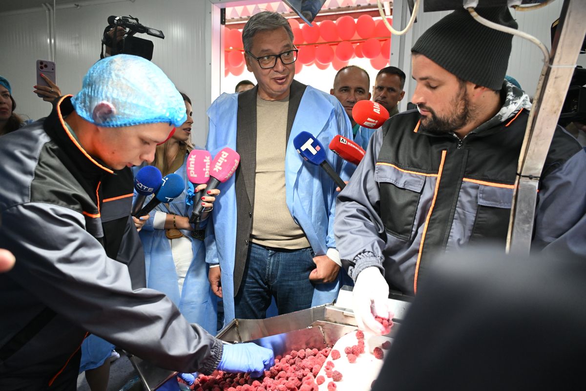 Rasinski okrug