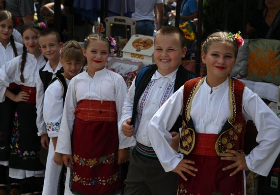 Посета Осечини и Мачванском округу